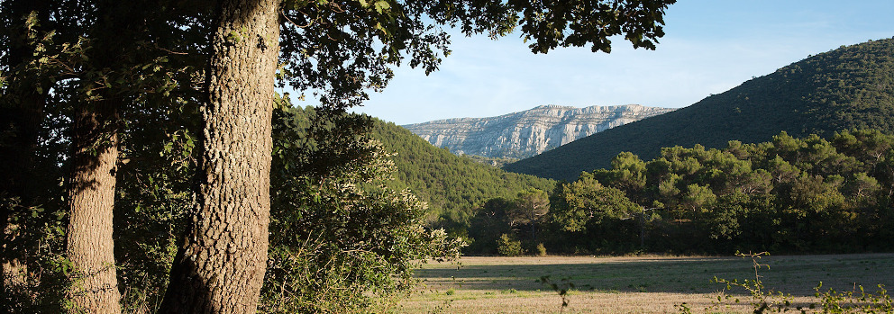 Provence - Alpes - Côte d'Azur