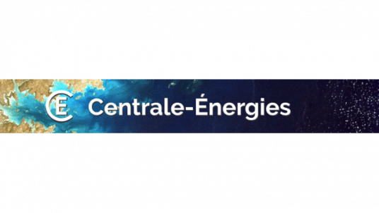 Webinaire :  Faut-il remettre le prix du carbone au cœur du débat ?