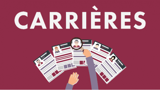 Carrière - Webinaire « Pitch et recherche d'emploi » (Mise en pratique)