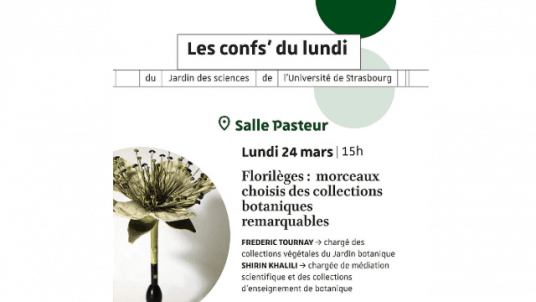 Conf’ du lundi du Jardin des sciences : Florilèges : morceaux choisis des collections botaniques remarquables